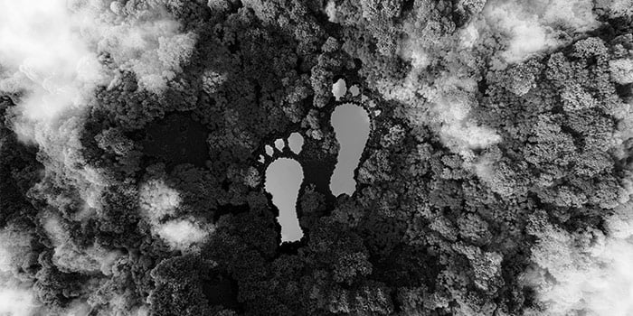 sustainability-transformation-thumbnail